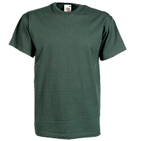 valueweight v-neck shirt