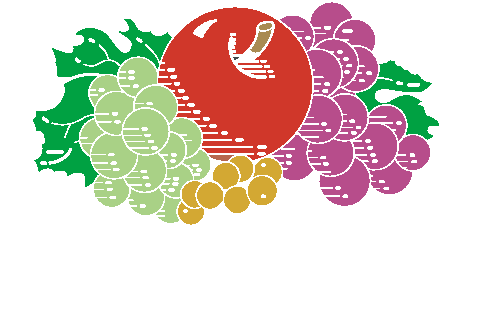 fruit of the loom